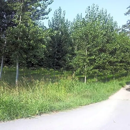 Gaietta