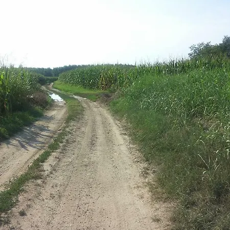 Bed & Breakfast Gaietta