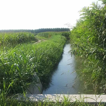 Gaietta * Frassineto Po