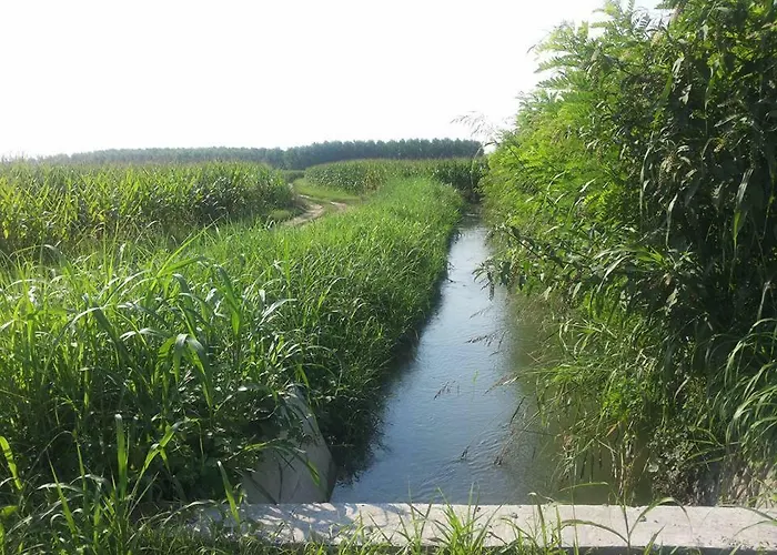 Gaietta * Frassineto Po