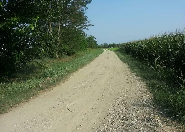 Nocleg ze śniadaniem Gaietta Frassineto Po